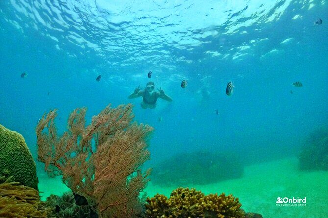 Island Chillax Hideaway: Snorkeling & Sunset BBQ [MAX 12 PAX] - Two reefs, then beach time: the itinerary in real-life order