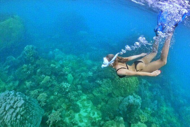 Island Chillax Hideaway: Snorkeling & Sunset BBQ [MAX 12 PAX] - Price and value: what you’re really paying for at $63.68