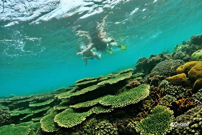 Island Chillax Hideaway: Snorkeling & Sunset BBQ [MAX 12 PAX] - Who should book this snorkeling and sunset BBQ tour