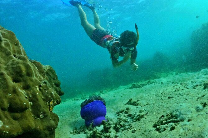 Island Chillax Hideaway: Snorkeling & Sunset BBQ [MAX 12 PAX] - Should you book Island Chillax Hideaway?