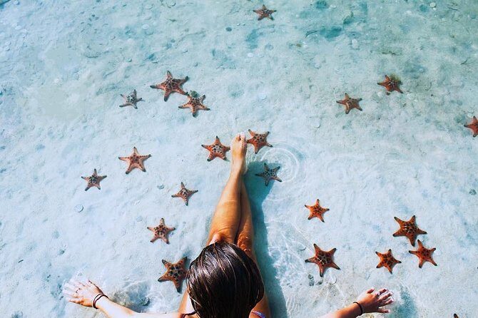 Land Tour 2: Discover the North - Kayaking & Starfish beach Phu Quoc (Not Lunch) - Mui Ganh Dau Beach and the Cambodia Viewpoint
