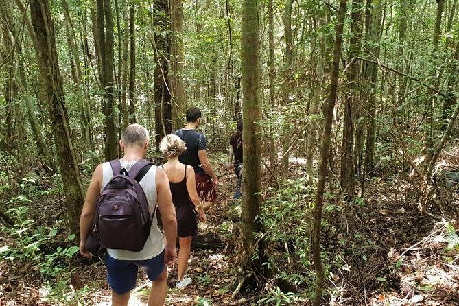 Land Tour 2: Discover the North - Kayaking & Starfish beach Phu Quoc (Not Lunch) - Bee Farm: A Nice Add-On That Can Shift on Your Date