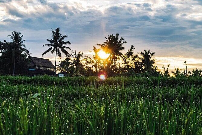 LUXURY Mekong 2 Days 1 Night SMALL GROUP Stay at Tiny Homestay with BBQ Dinner - Day Two: Breakfast First, Then Bicycles Through Fruit Orchards
