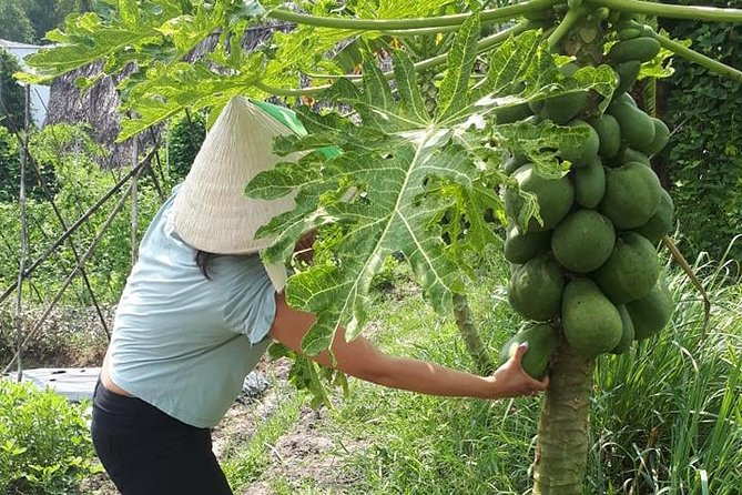 Market to Farm to Table Cooking Class in saigon - From 7:30am to dinner plans: how the day actually runs