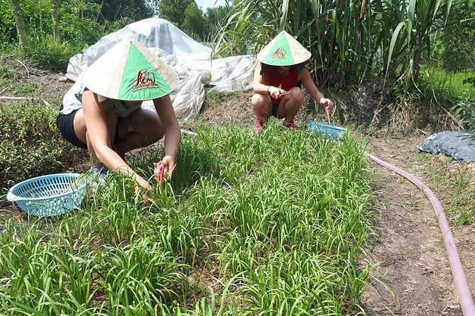 Market to Farm to Table Cooking Class in saigon - Price and value in Saigon: $70 for market, farm, and 4 dishes