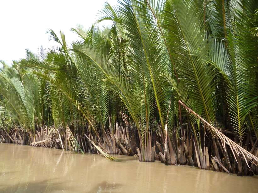 Mekong Day Tour by Car:Cai Be market, Local Island & Cycling - Coconut Candy, Honey Tea, and Puffed Rice Moments