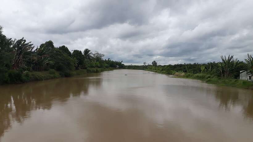 Mekong Day Tour by Car:Cai Be market, Local Island & Cycling - Village Paths and Optional Cycling After Lunch