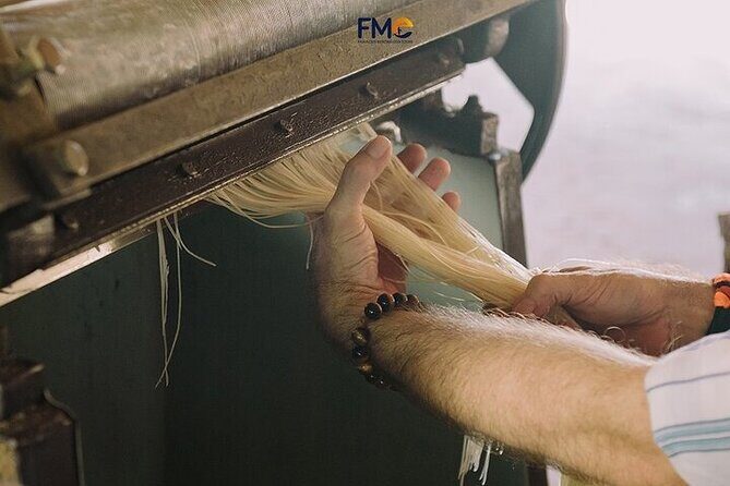 Mekong day tour Visit Cai Rang Floating Market pick up in Sai Gon - Phong Điền noodle house: a short stop with big payoff