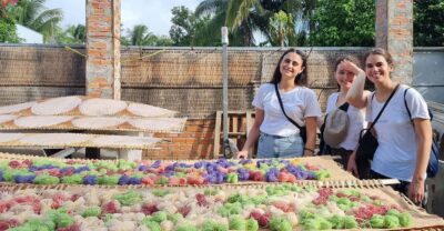 Mekong Delta 2 Days 1 Night - Shared Tour - Key things to know before you go