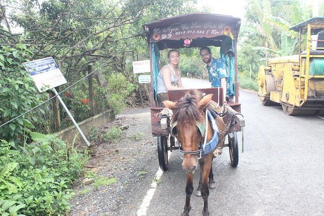 Mekong Delta Adventure by Private Car from Phu My Port - Villages, fruit orchards, and honey farms: real daily life on the river