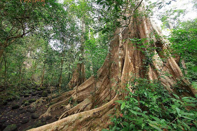 Nam Cat Tien National Park 2-Day Tour with Lodging, Meals.. - Key highlights worth clocking