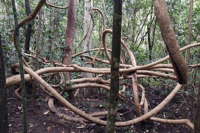Nam Cat Tien National Park 2-Day Tour with Lodging, Meals.. - Lodging: what your night base is like
