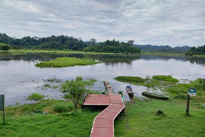 Nam Cat Tien National Park 2-Day Tour with Lodging, Meals.. - Night safari by jeep: the fun part that can’t be guaranteed