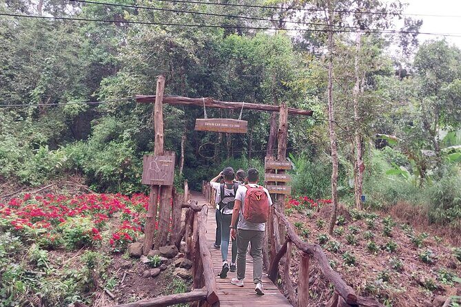Nam Cat Tien National Park 2-Day Tour with Lodging, Meals.. - Day 2: Bau Sau (Crocodile Lake) and jungle walking