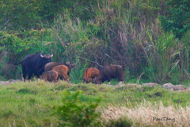 Nam Cat Tien National Park 2-Day Tour with Lodging, Meals.. - The park itself: why this forest feels different