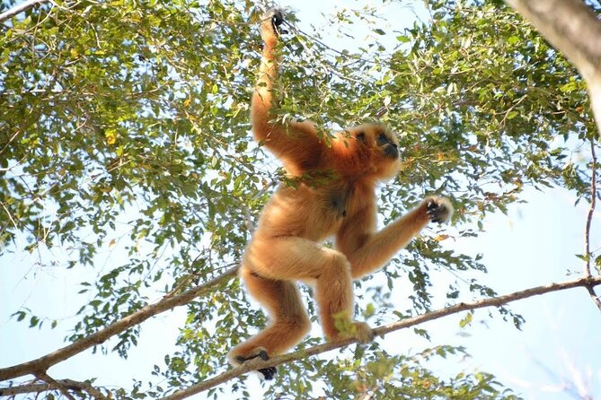 Nam Cat Tien National Park 2 Days 1 Night - Private Tour - Ta Lai wildlife habitat: the part of the park that rewards slow eyes