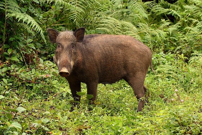 Nam Cat Tien National Park 2 Days 1 Night - Private Tour - Food, hotel, and what your $315 really buys