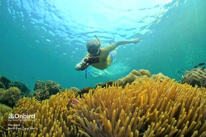 OnBird - PRIVATE ADVENTURE SNORKELING - explore Half-moon reef & Coral Mountain - Key points before you book