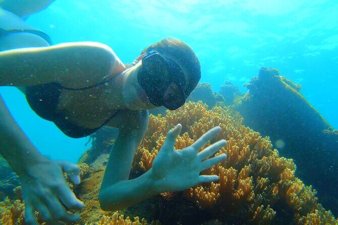 OnBird - PRIVATE ADVENTURE SNORKELING - explore Half-moon reef & Coral Mountain - Who this tour fits best (and who should choose differently)