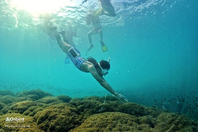 OnBird - PRIVATE ADVENTURE SNORKELING - explore Half-moon reef & Coral Mountain - How the schedule flows from Turtle-head Rock Beach to sunset