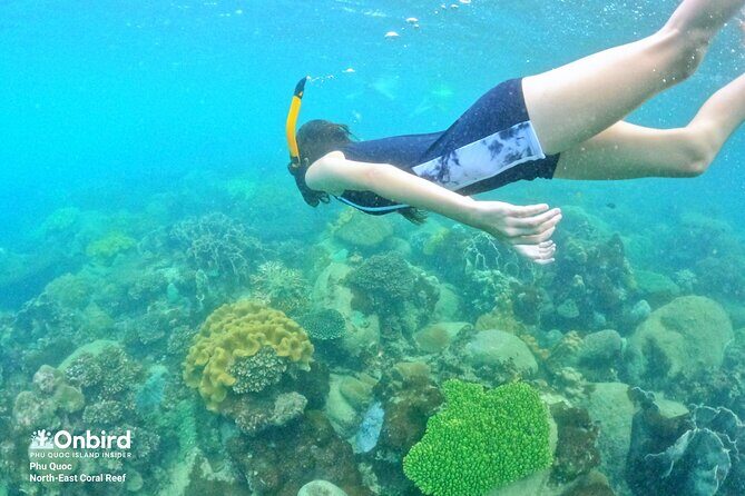 OnBird - Private family KID-FRIENDLY Snorkeling trip by speedboat in Phu Quoc - What you get for the price, and where the extra costs can appear