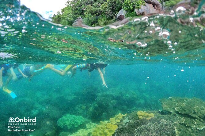 OnBird - Private family KID-FRIENDLY Snorkeling trip by speedboat in Phu Quoc - Small rules that protect the experience (and prevent problems)