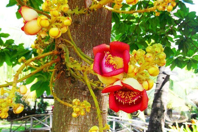 PHU MY SHORE EXCURSION: Saigon Past and Present Tour - Saigon Past and Present: why this tour works for a port day
