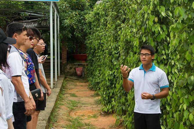Phu Quoc Discover South And North Together_Private tour - Pepper farm time: why Phu Quoc pepper is a big deal