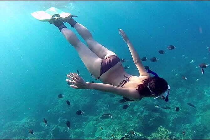 Phu Quoc Fullday Tour Cua Can river - Lunch at 12:30: The Included Seafood Meal Strategy
