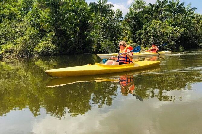 Phu Quoc Northern Discovery and River Kayaking Tour - Phú Quốc National Park: Green Walk Time With Wildlife Energy