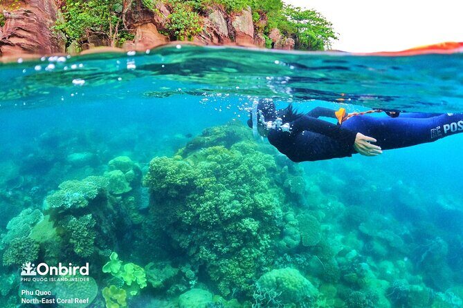 [Phu Quoc] Private Speedboat & Short-Snorkel: South Hidden Reefs - Gear, Safety Training, and Having John as Your On-Water Guide