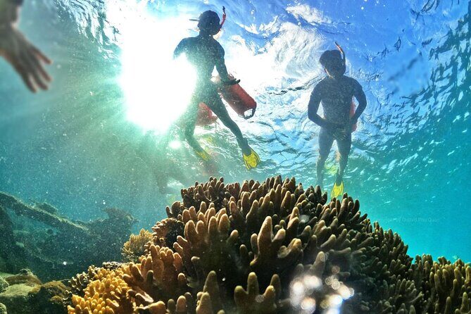 [Phu Quoc] Private Speedboat & Short-Snorkel: South Hidden Reefs - Snacks, Water, and the Real Meaning of No Lunch Included