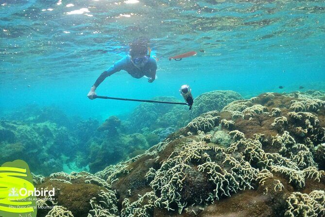 [Phu Quoc] Private Speedboat & Short-Snorkel: South Hidden Reefs - Reef Stop Two: Northeast Coral Reef or a Weather-Based Swap