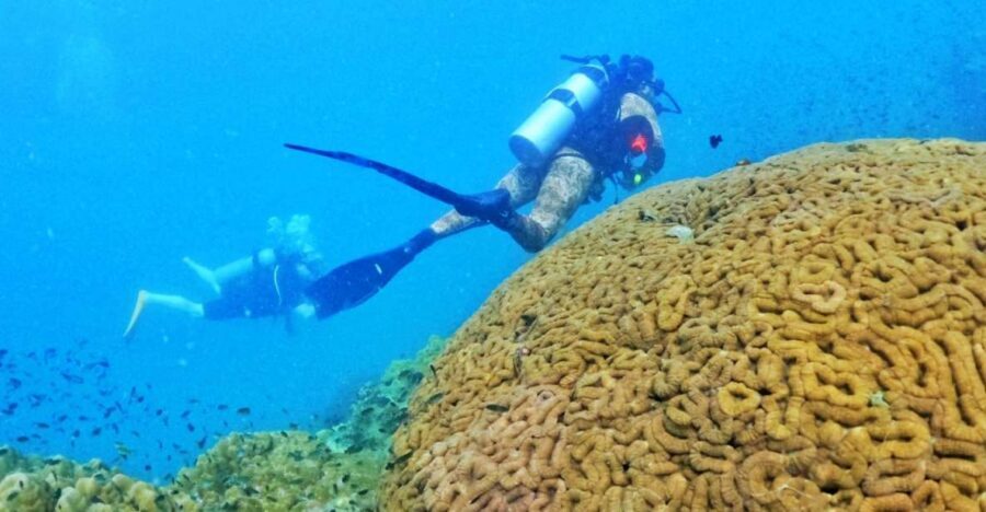 Phu Quoc: Scuba Diving Experience for All Levels - Key highlights at a glance