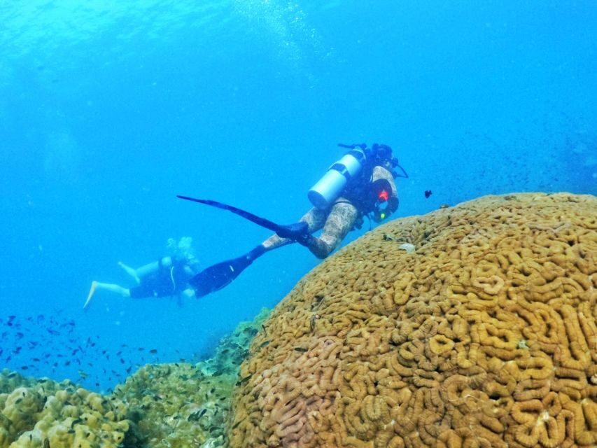 Phu Quoc: Scuba Diving Experience for All Levels - Practical tips that keep the day smooth