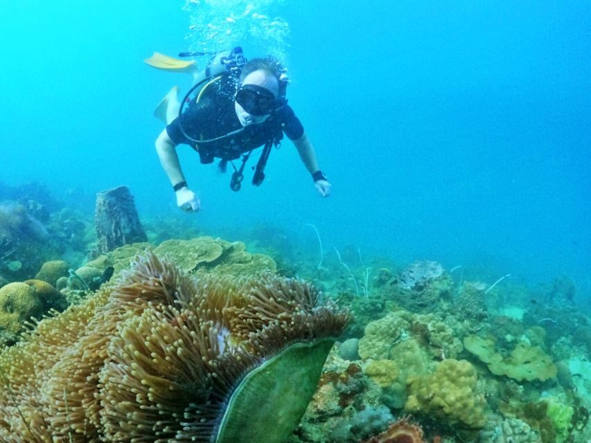 Phu Quoc: Scuba Diving Experience for All Levels - The instructor setup: calm teaching, direct gear control, real confidence