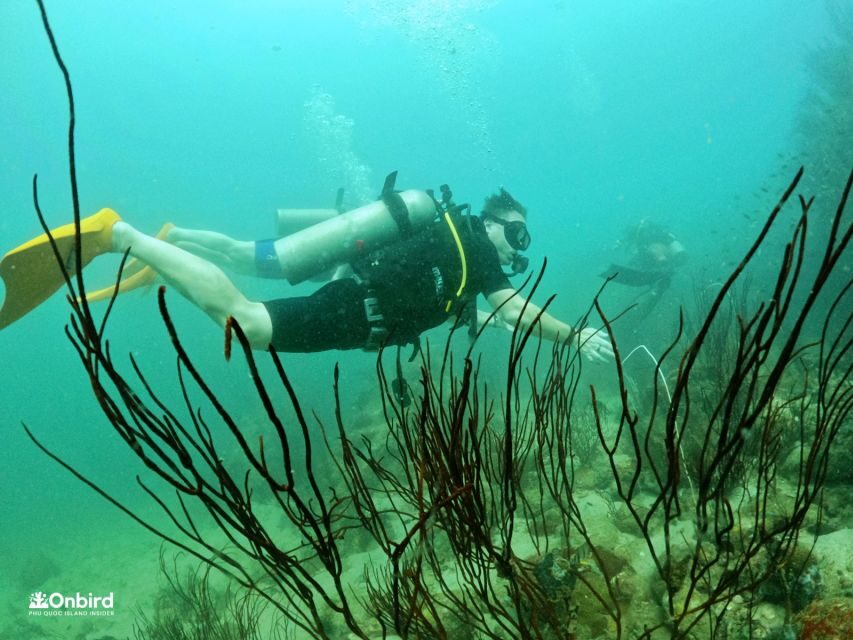 Phu Quoc: Scuba Diving Experience for All Levels - Price and value: what $102 buys you (and what it doesn’t)