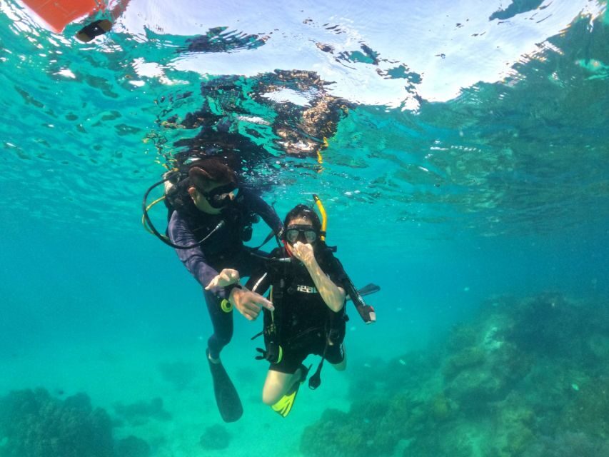Phu Quoc: Scuba Diving Experience for All Levels - Lunch, transfers, and the part of the day you’ll be glad is planned