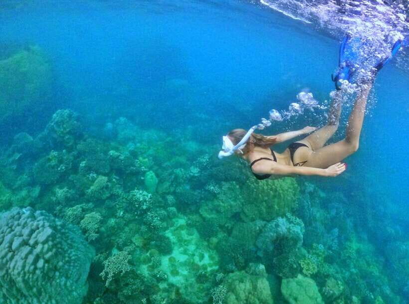 Phu Quoc Small-group Snorkeling to the Coral Jungle Reef - Key Things I’d Bet on Before You Go