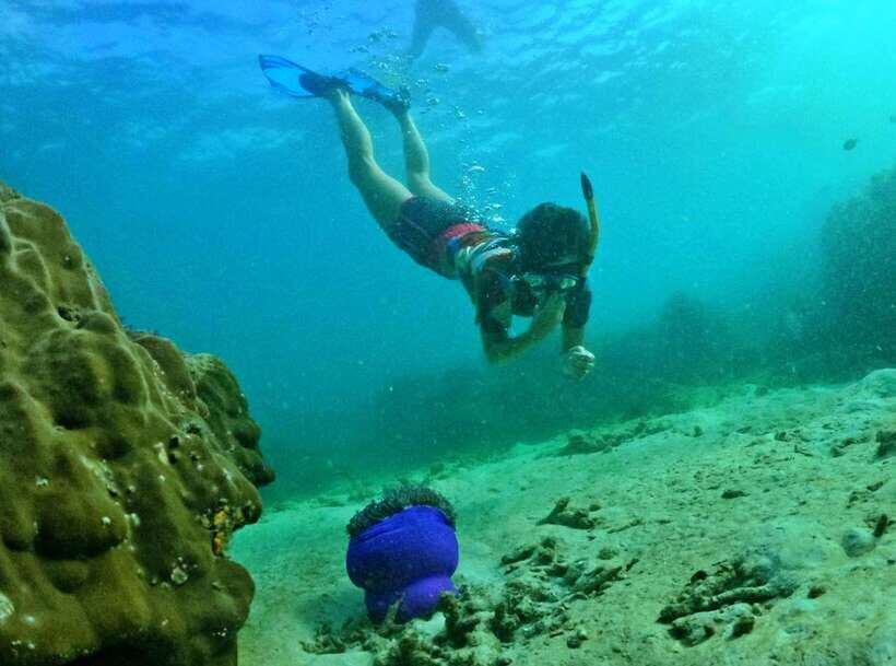 Phu Quoc Small-group Snorkeling to the Coral Jungle Reef - Gear, Safety, and Reef Rules: The Stuff That Keeps It Worth It