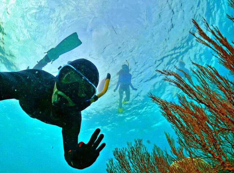 Phu Quoc Small-group Snorkeling to the Coral Jungle Reef - Phu Quoc’s Coral Jungle Reef: The Season-Only Reason You Go