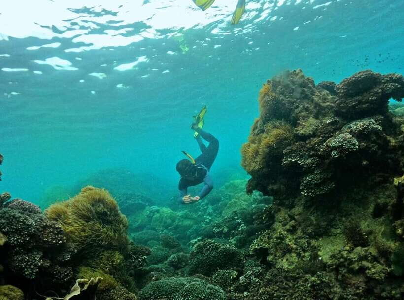 Phu Quoc Small-group Snorkeling to the Coral Jungle Reef - Timing and Transfers: Six Hours That Don’t Feel Like a Grind