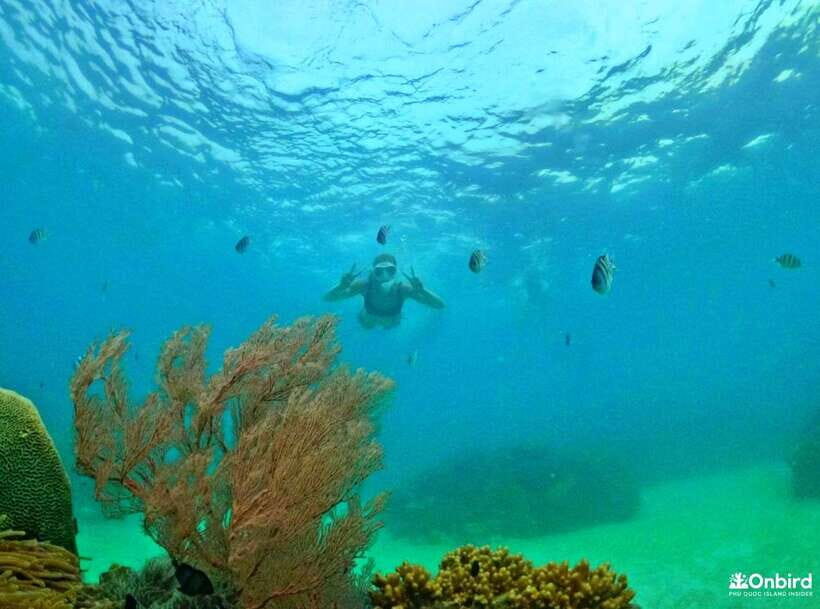 Phu Quoc Small-group Snorkeling to the Coral Jungle Reef - Speedboat Along the Untouched Side: Your First Look at the Real Island