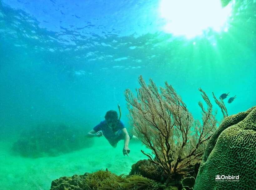 Phu Quoc Small-group Snorkeling to the Coral Jungle Reef - Step One: Training on a Quiet Beach (Don’t Skip This Part)