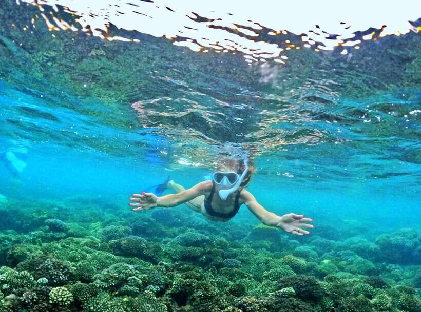 Phu Quoc Small-group Snorkeling to the Coral Jungle Reef - The Coral Jungle Reef Plan: Two Reef Sides, One Smart Schedule