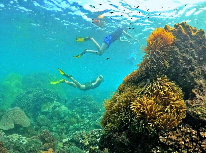 Phu Quoc Small-group Snorkeling to the Coral Jungle Reef - Robinson Island Break: A Nice Pause, Depending on Tides