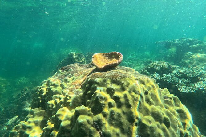 Phu Quoc: Snorkeling and Island Hopping By Speedboat with Lunch - Speedboat Morning From Ngoc Hien Pearl Farm to An Thoi
