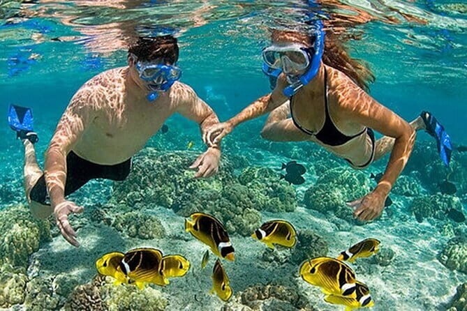 Phu Quoc: Snorkeling and Island Hopping By Speedboat with Lunch - Price and Value: What $53.28 Really Buys You