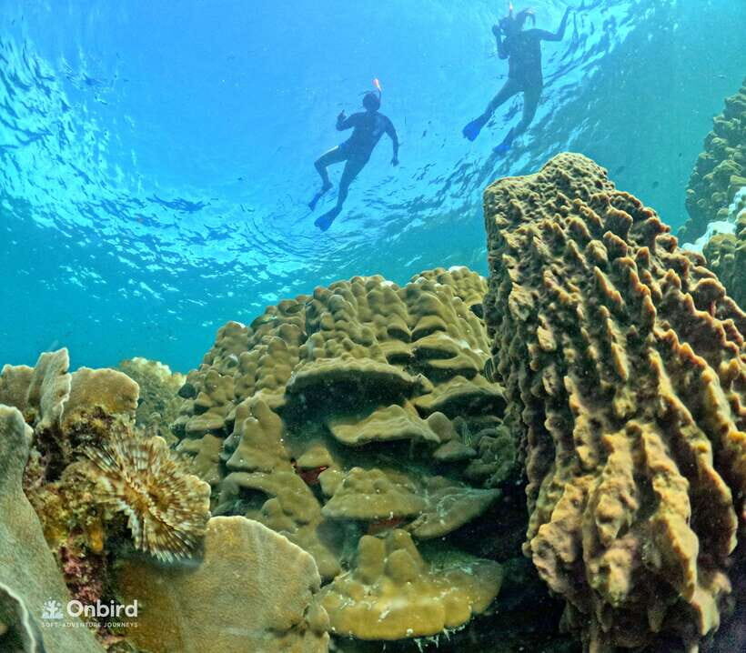Phu Quoc: Speed Boat Tour 4 Islands - 2 Reefs Snorkeling - What to bring: the small list that makes a big difference