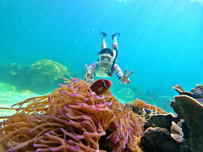 Phu Quoc: Speed Boat Tour 4 Islands - 2 Reefs Snorkeling - A small-group speedboat snorkel that actually teaches